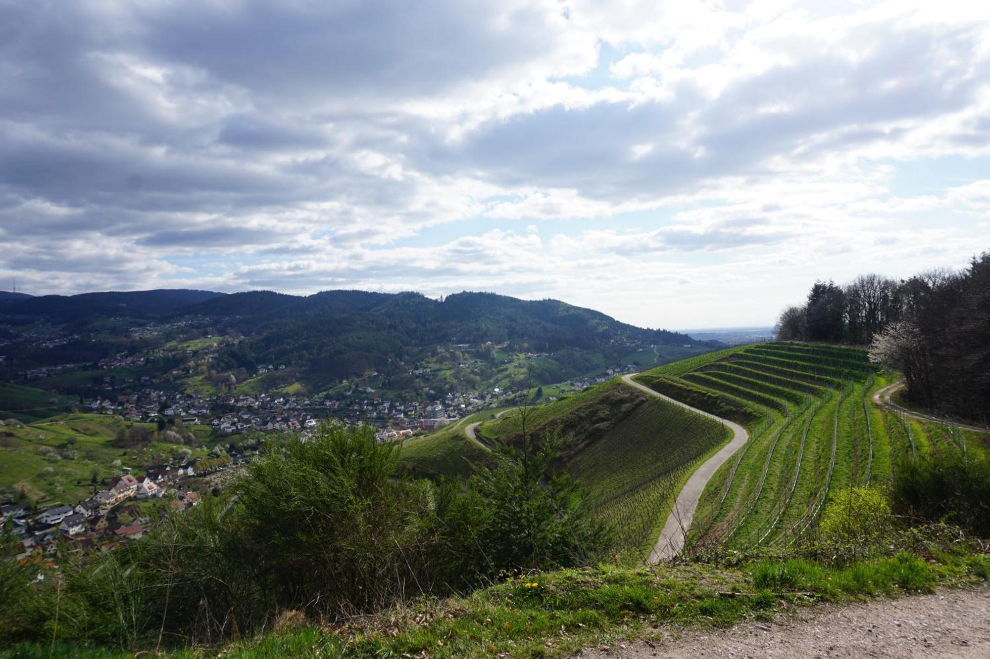 Am Gunzenbach *